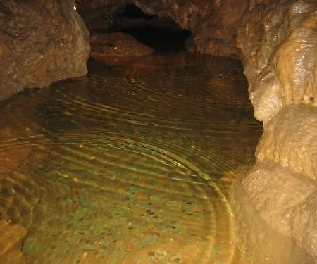 Waldhotel Tropfsteinhoehle Hotel