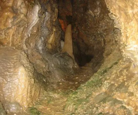 Hotel Waldhotel Tropfsteinhoehle 3*