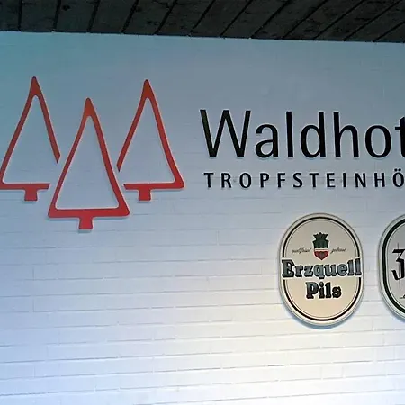 Waldhotel Tropfsteinhoehle