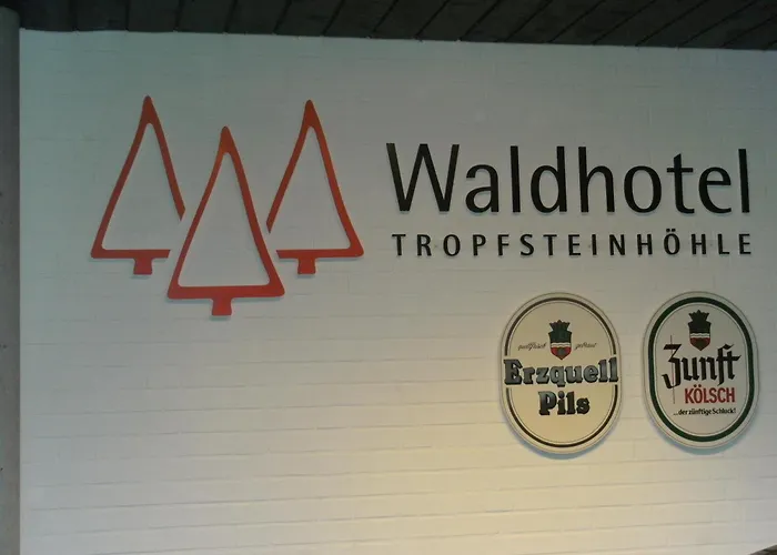 Waldhotel Tropfsteinhoehle 3* Wiehl